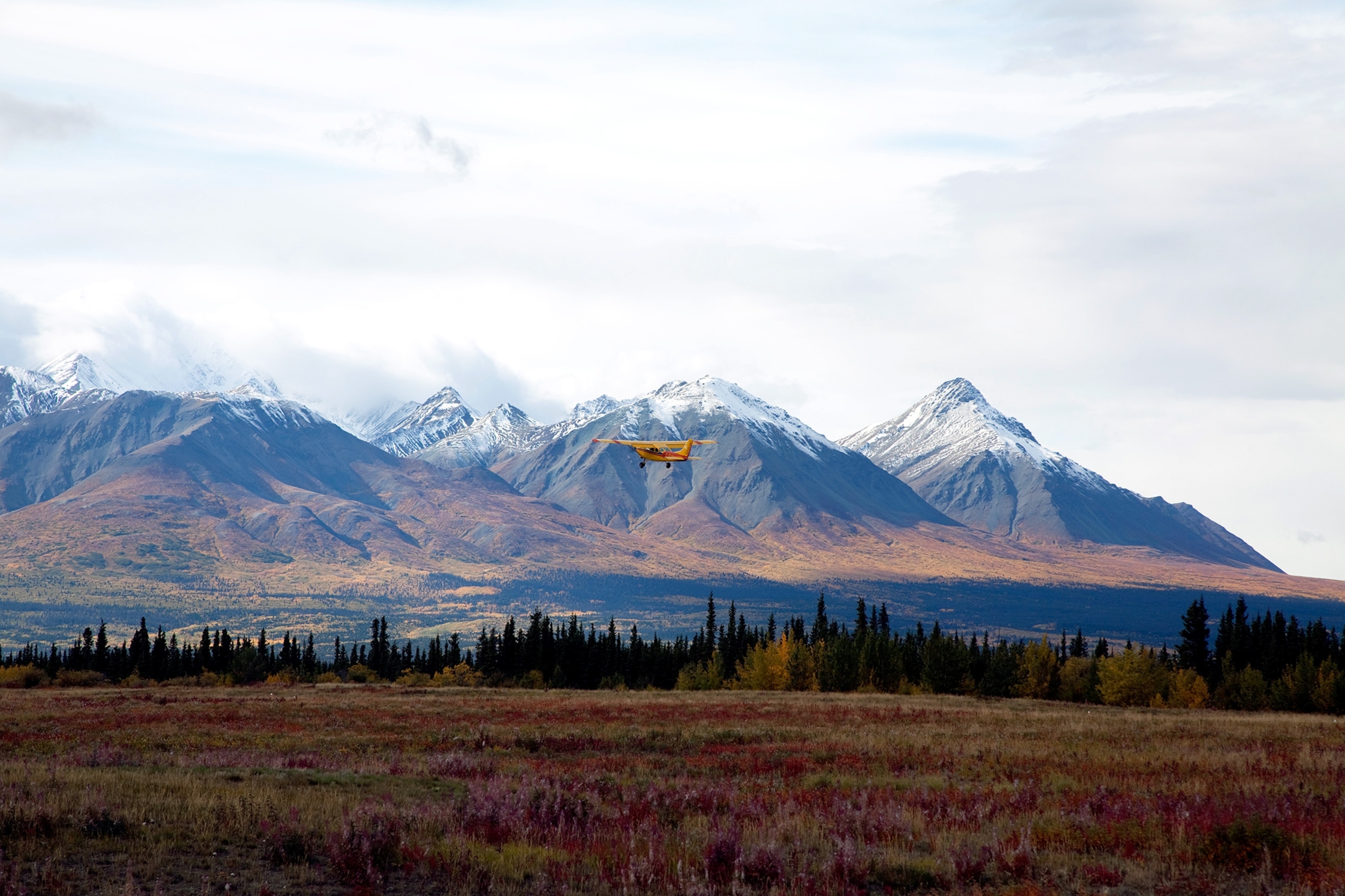 The St. Elias Mountains rise west of town